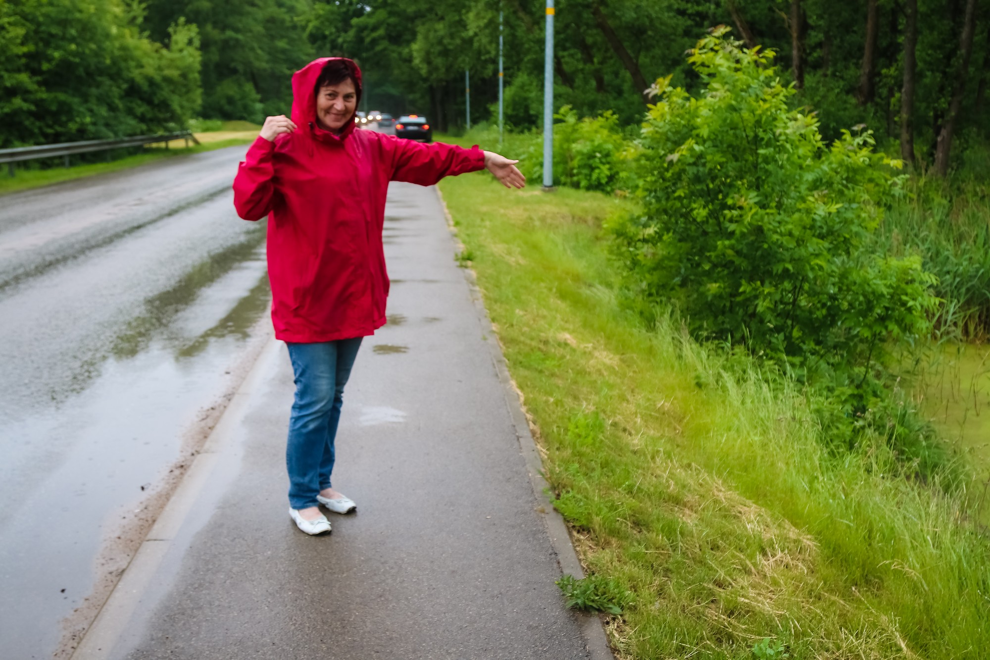 Ar zaļumu vien nepietiek