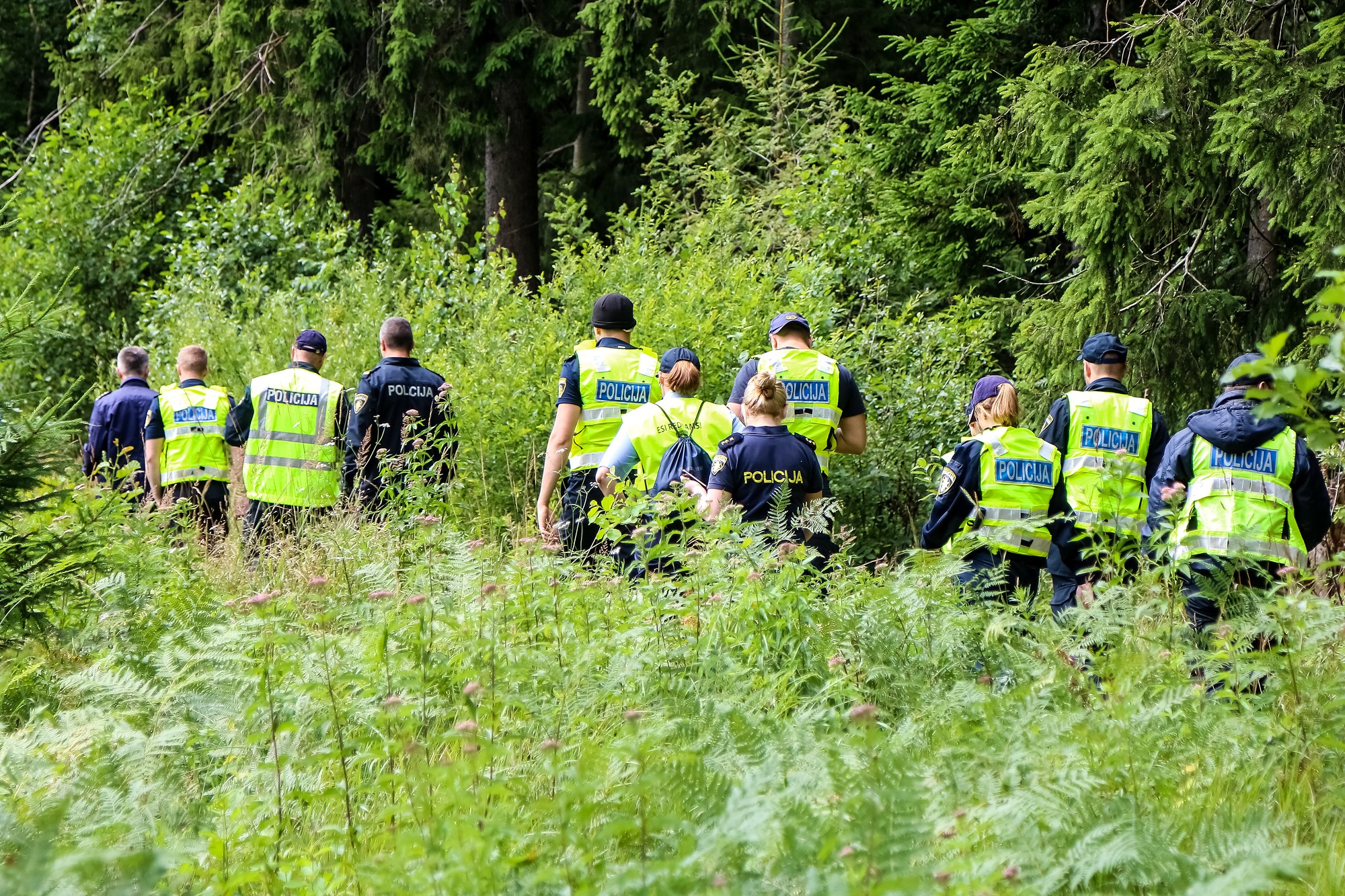 Papildināts – Turpina meklēt Ječos mežā apmaldījušos sirmgalvi