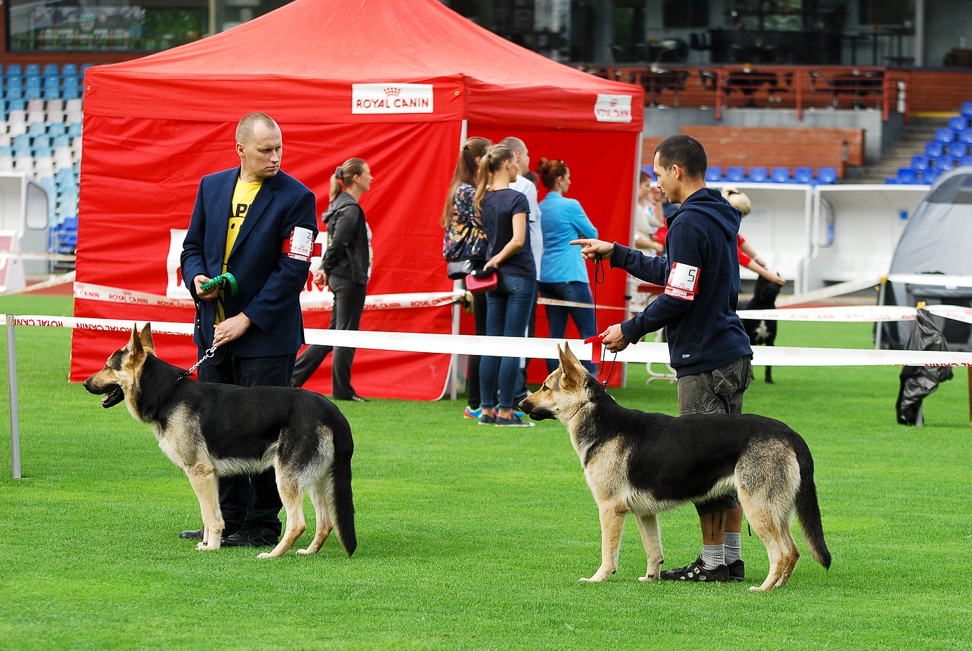 Suņi “Daugavas” stadionā