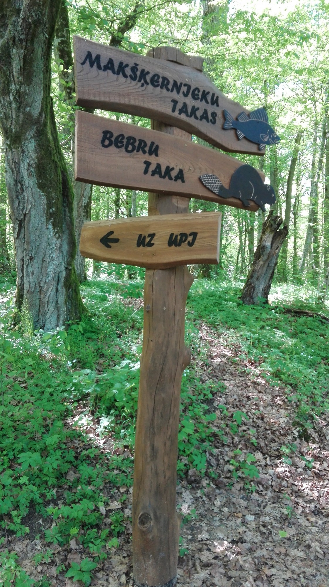 Aicina iepazīt Cīravas Mežaparku