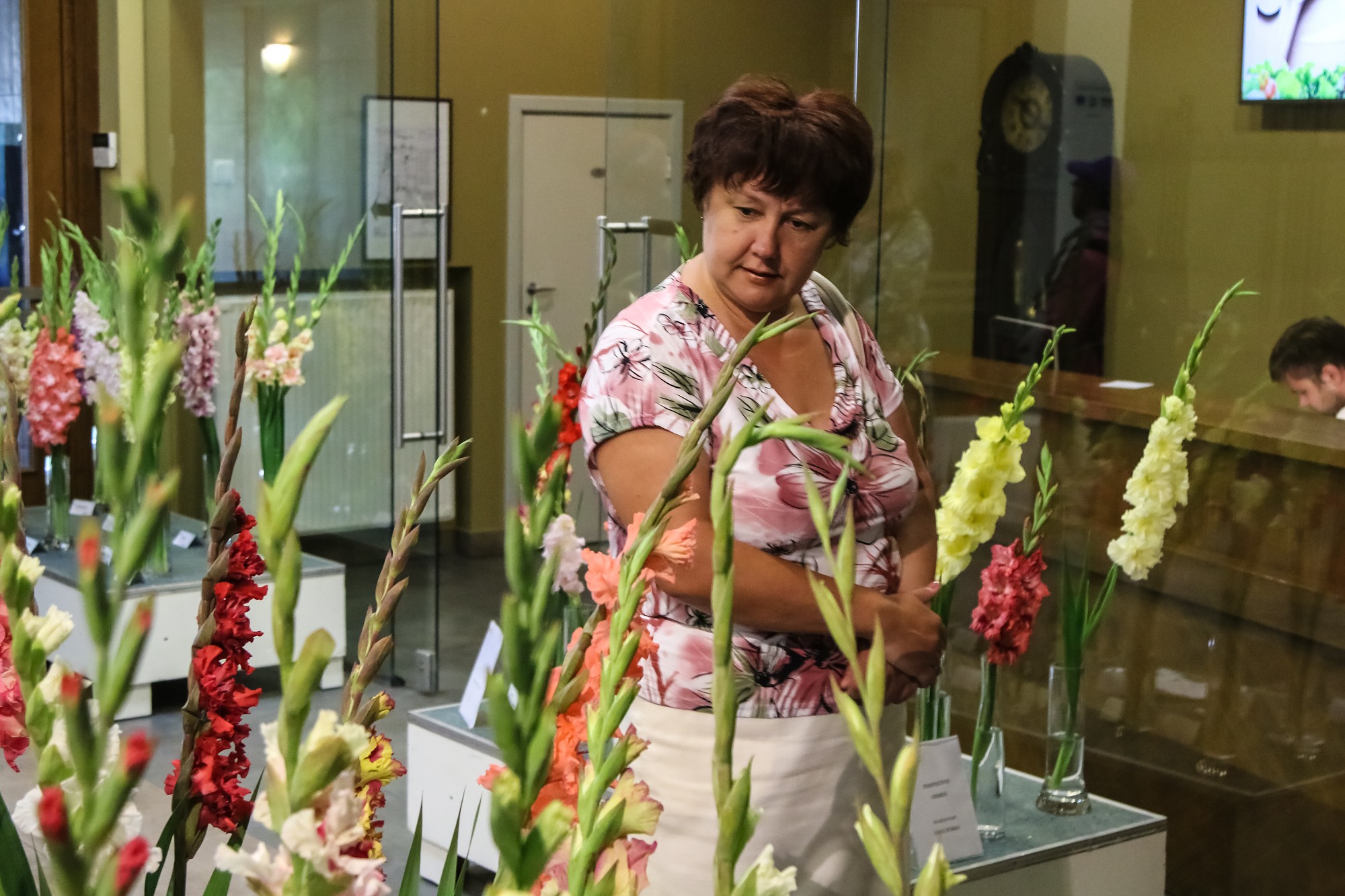 Biedrības namu rotā gladiolas