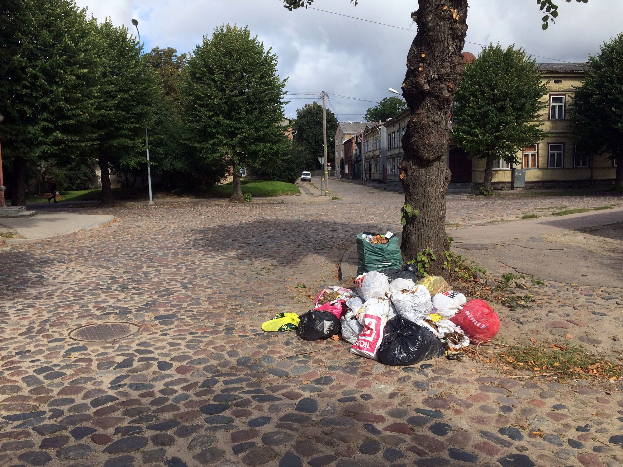 Zaļos atkritumus jāizved zemesgabala īpašniekam, valdītājam vai daudzdzīvokļu mājas pārvaldniekam