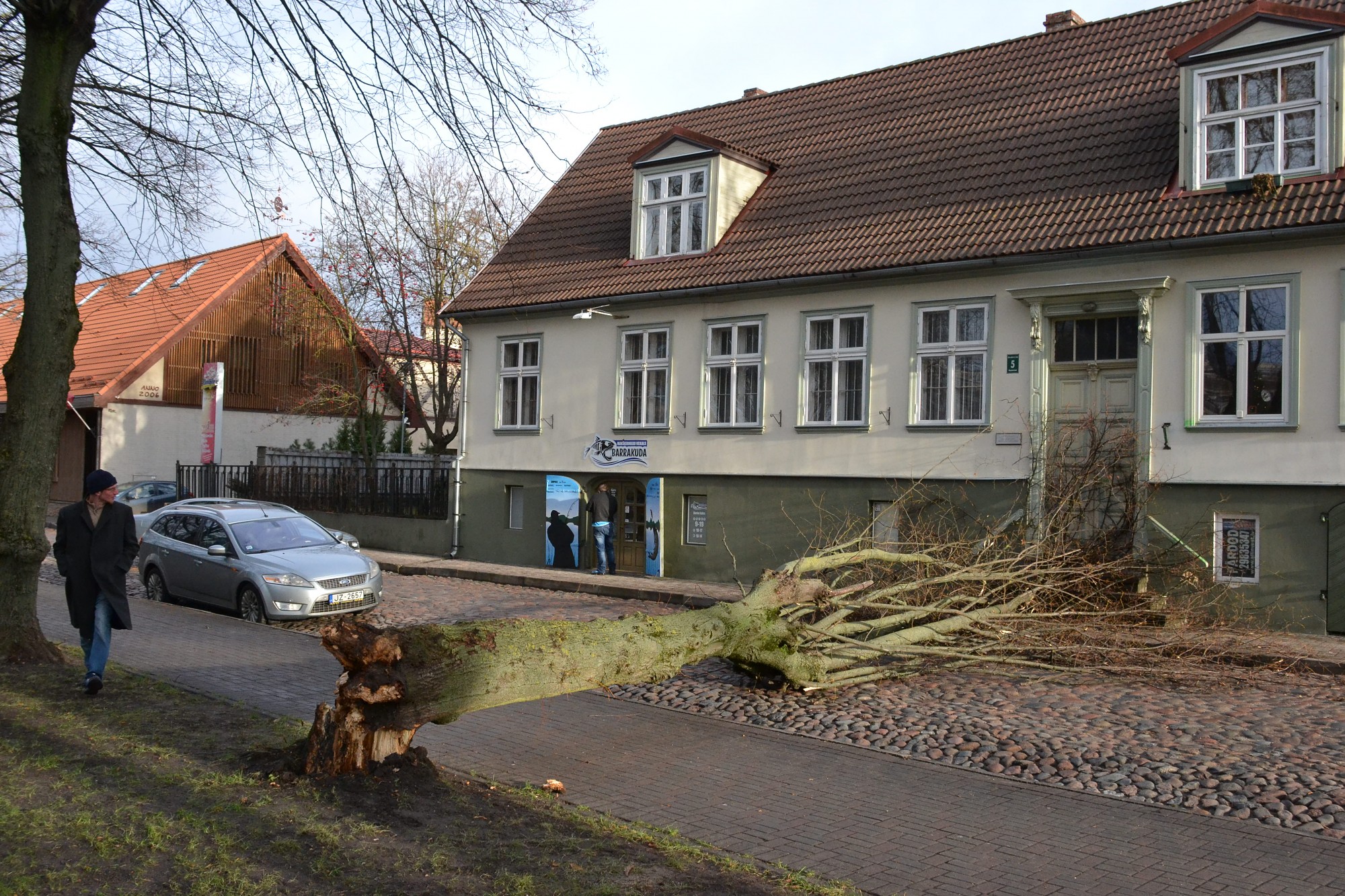 Liels koks nokritis pār ielu