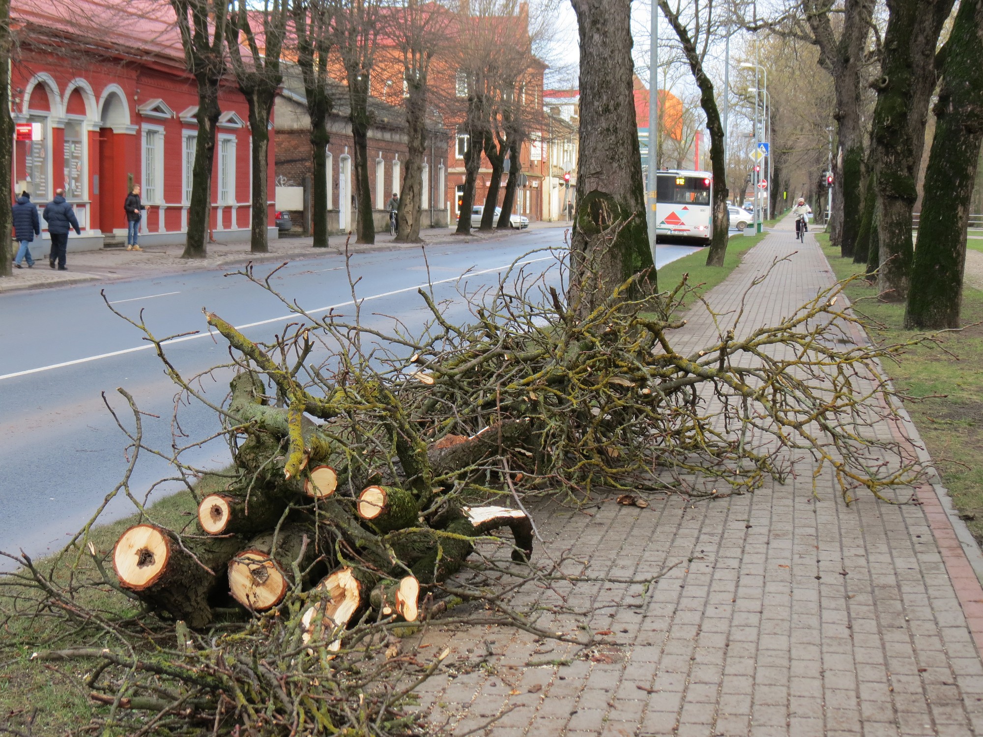 Papildināts (12:36) – Vējš visvairāk plosīsies pievakarē; izgāzti koki, no lūzuša zara cietis auto