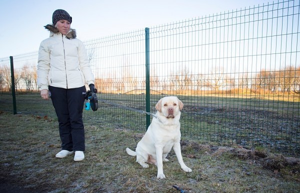 Tiek aprīkots jaunais suņu pastaigu laukums Ezerkrastā
