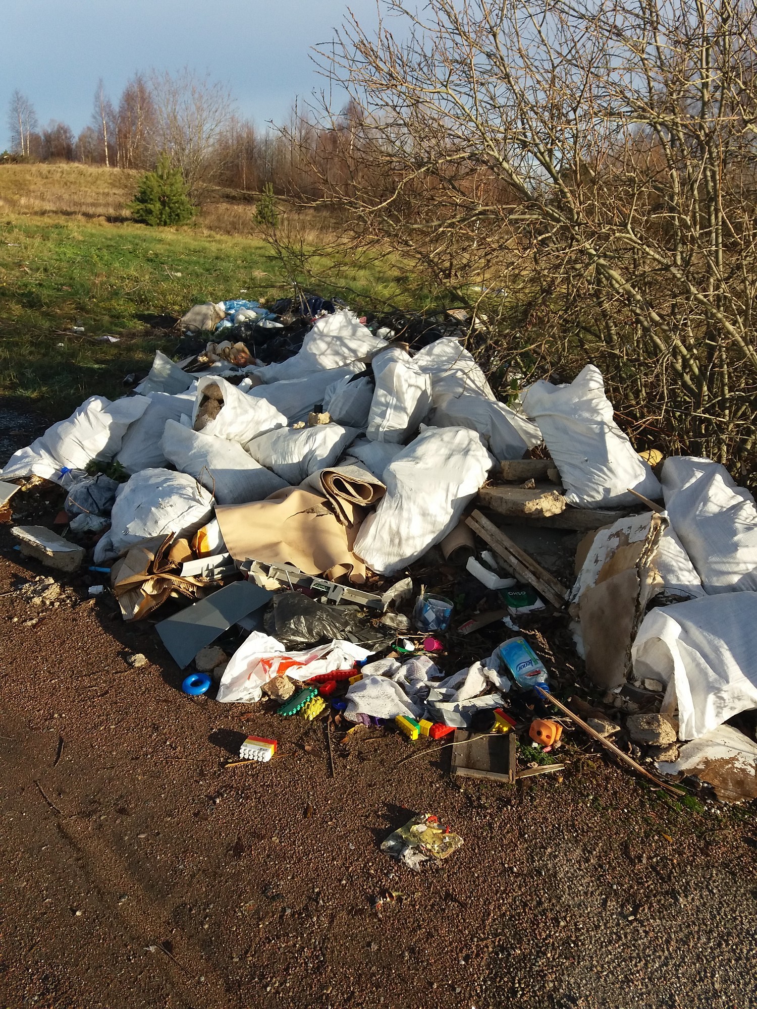 Jau sodīts par gružu nesavākšanu, īpašnieks nelabojas