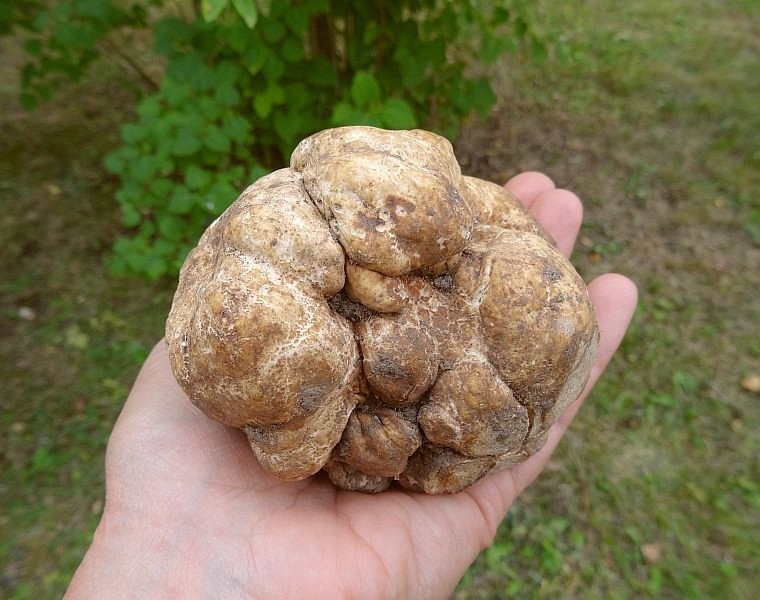 Noslēpumi jūrās un pazemē