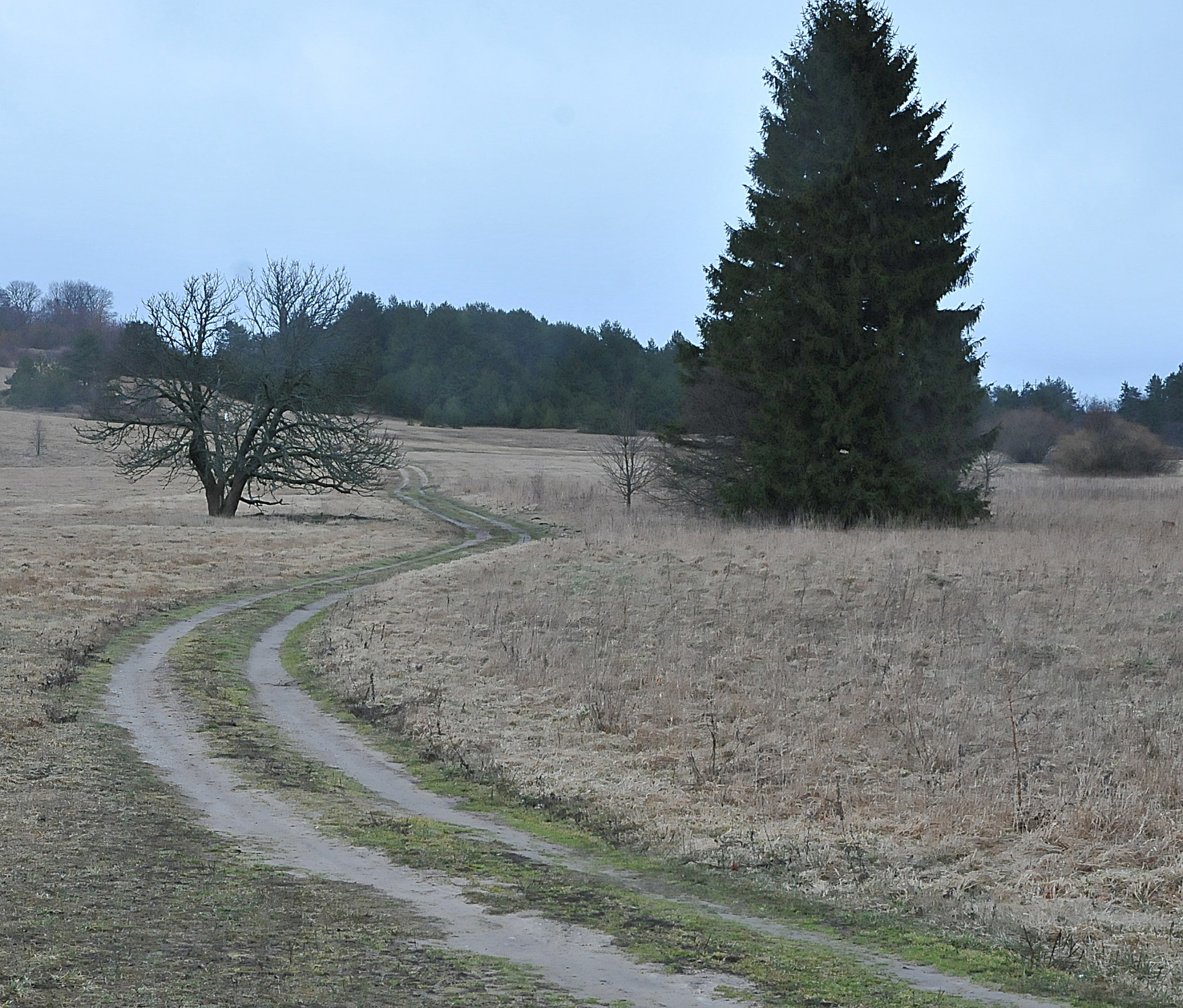 Pārbauda pašvaldību naudasmakus