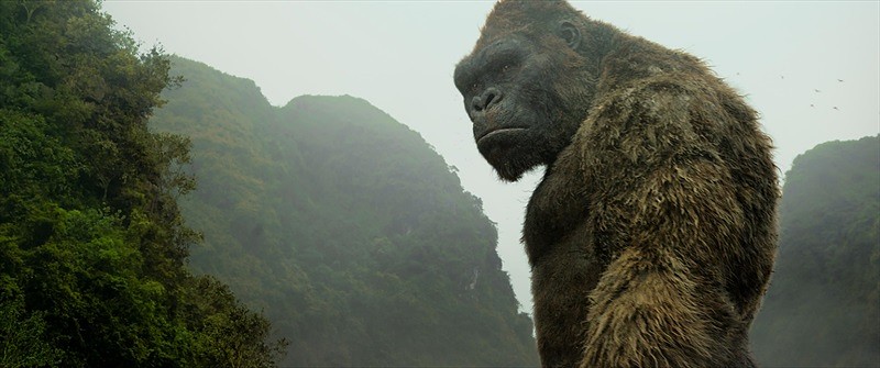 Spriedze un asas izjūtas piedzīvojumu filmā “KONGS: GALVASKAUSA SALA”