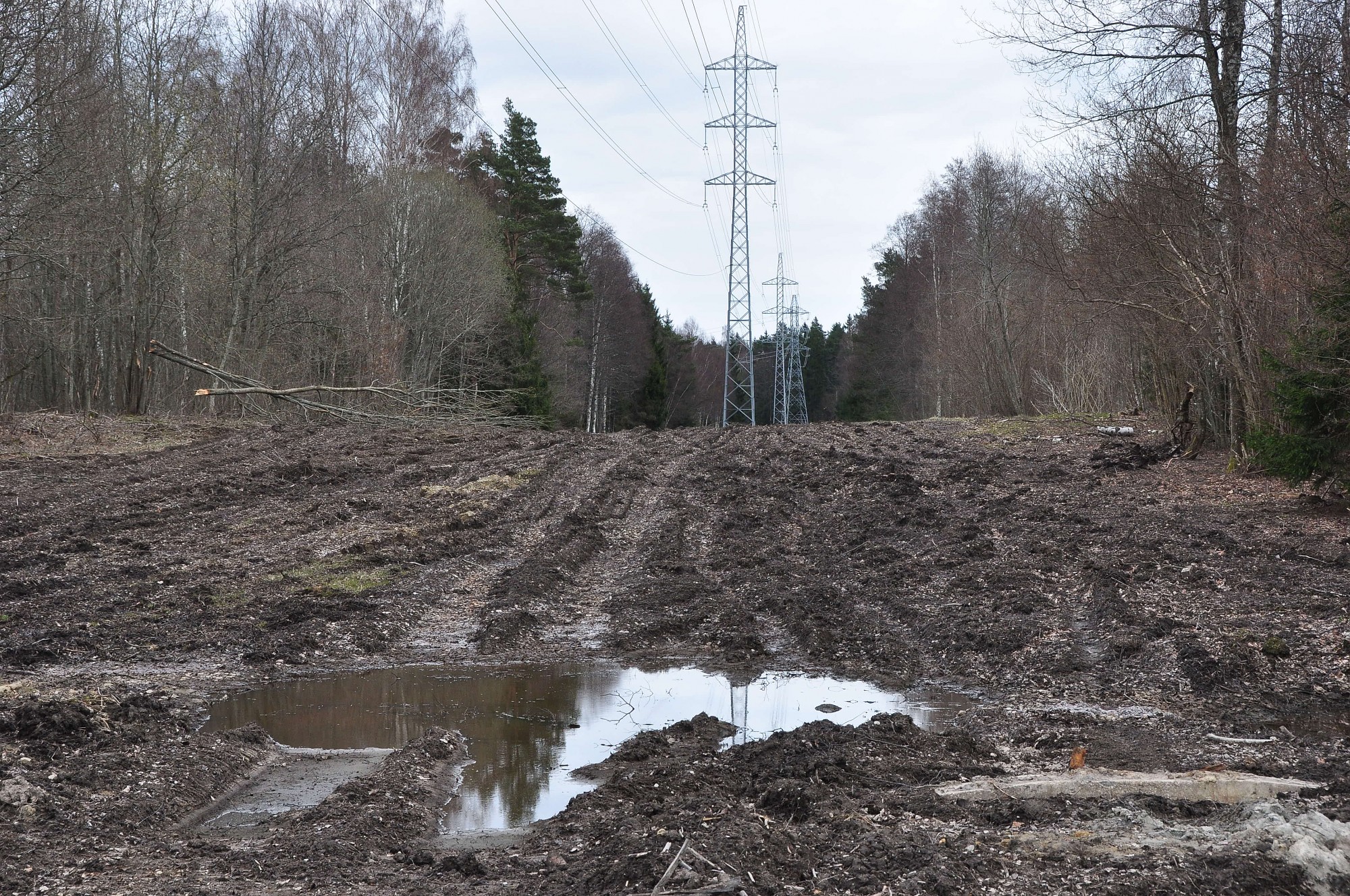 Gaida cilvēcīgu attieksmi