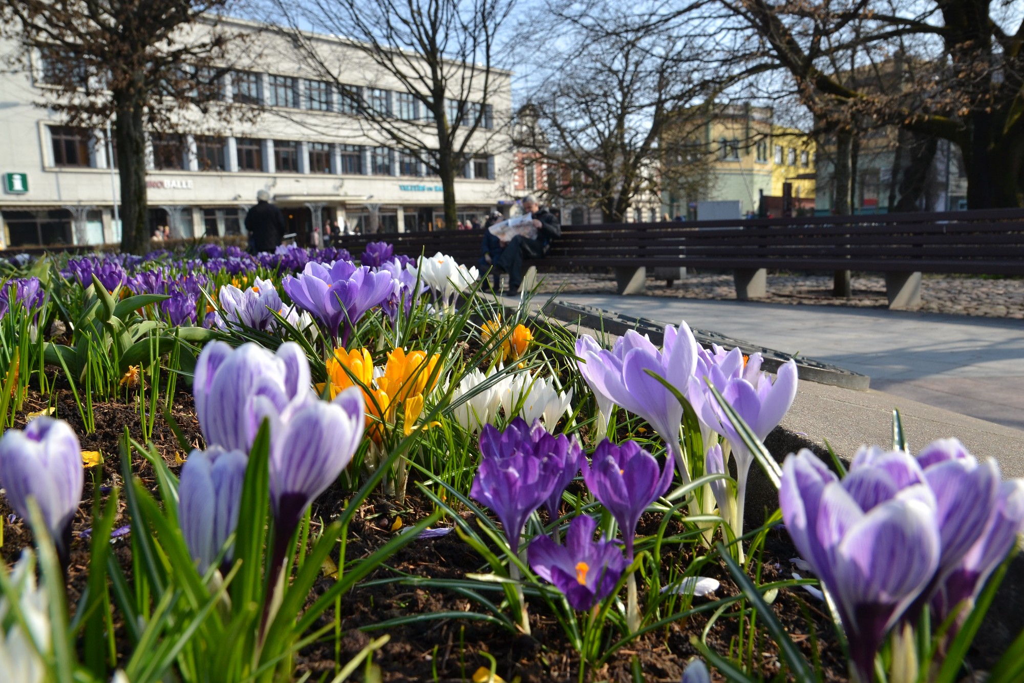 Top Liepājas kultūras mantojuma digitālā krātuve