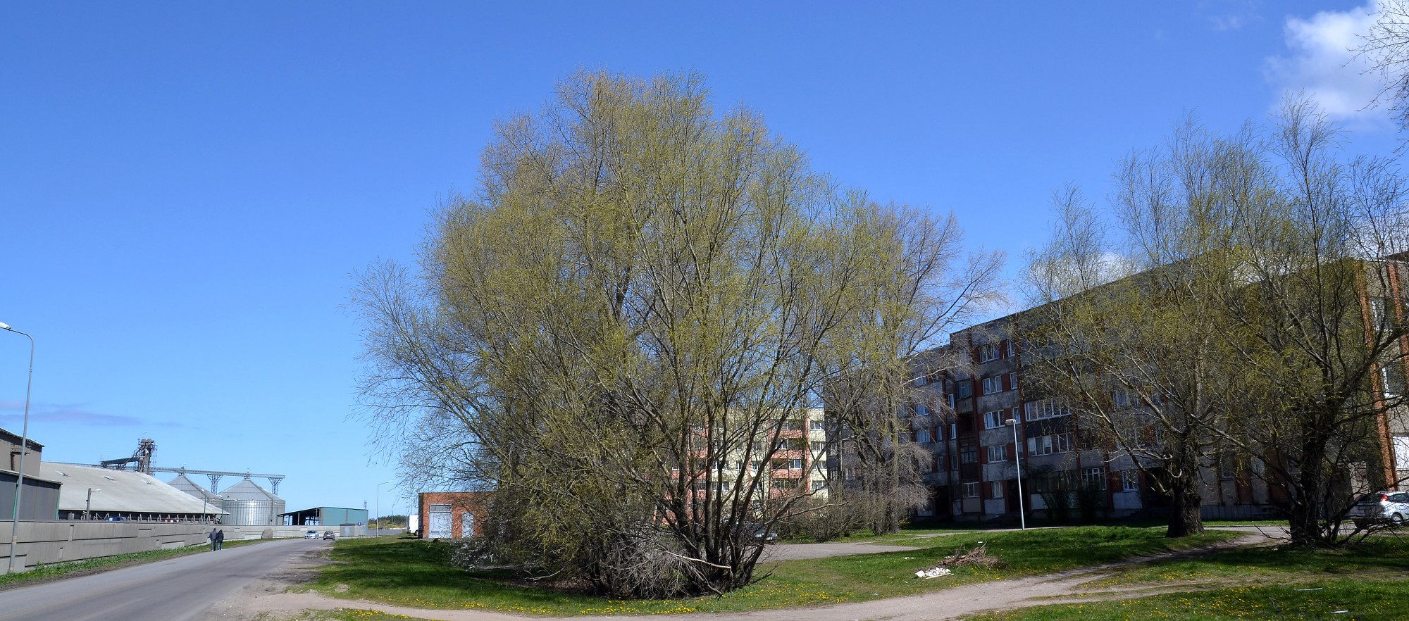 “Liepaja Bulk Terminal” noraida pārmetumus