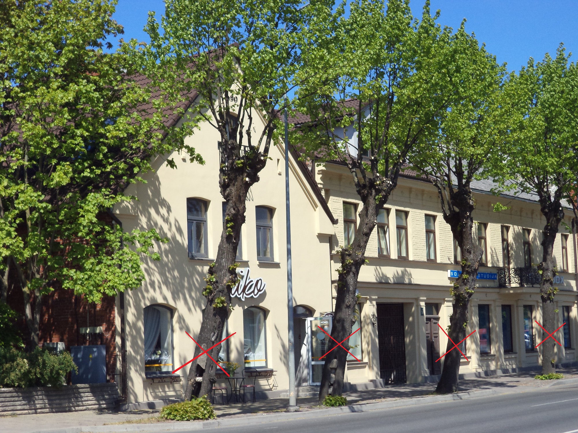 Aicina izteikt viedokli par koku ciršanu Brīvības ielā