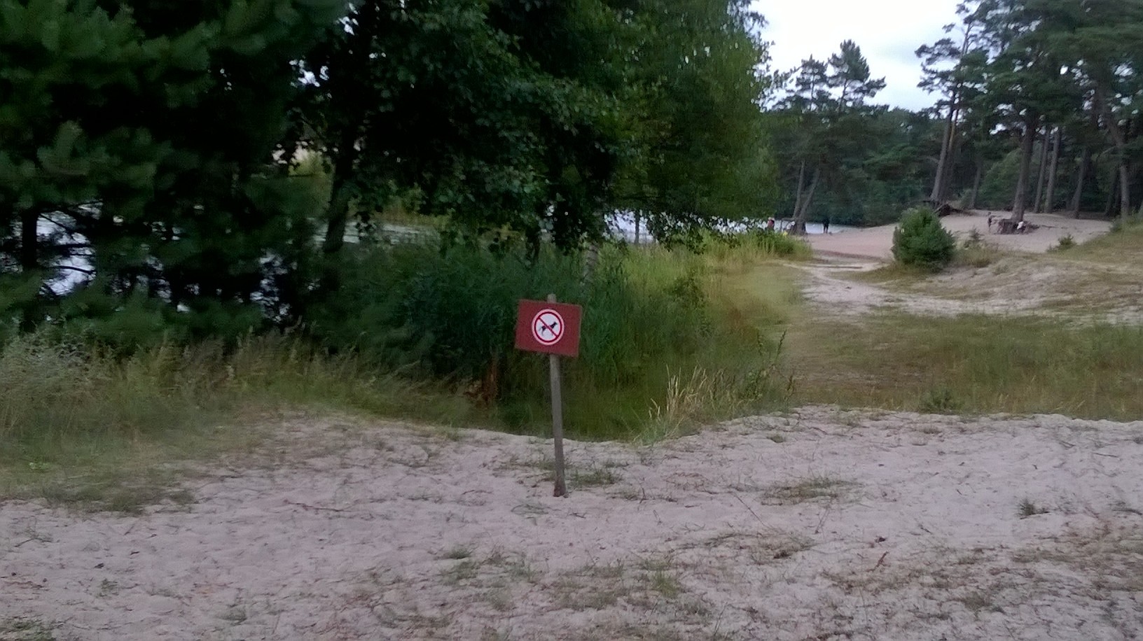 Suņa prieks pludmalē