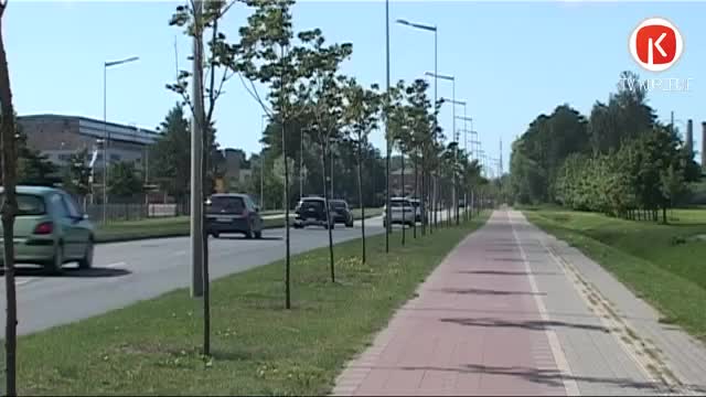 Liepājā iet bojā 90 jauniestādīti koki