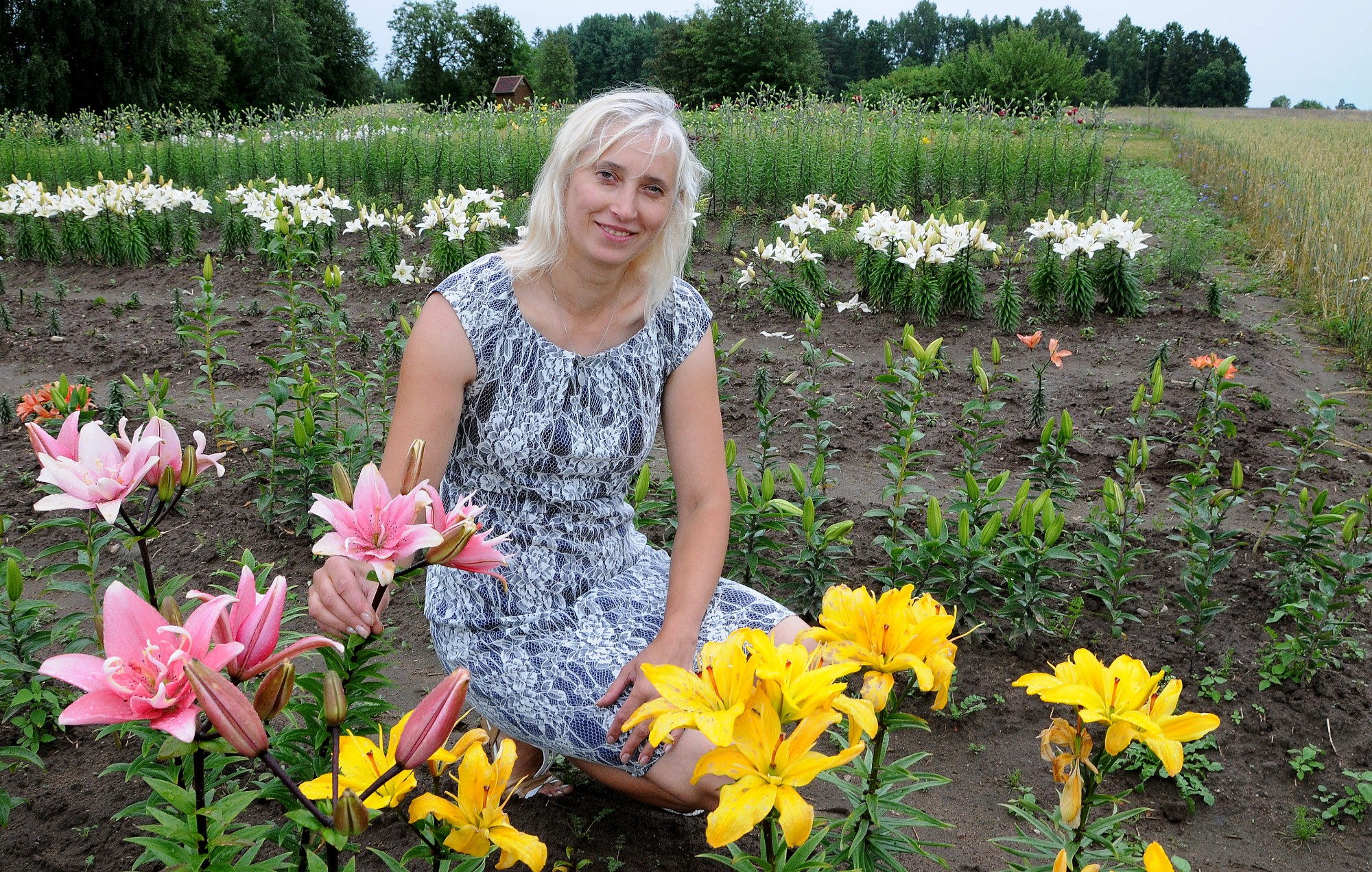 Lilijas plaukst pa nakti