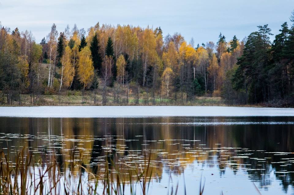 Aicina uz Spēka dziesmu vakaru folkloras centrā ”Namīns”