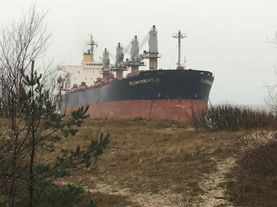 Milzenis kāpās pie Klaipēdas