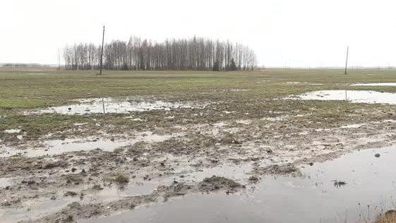 Ilgstošā lietus dēļ apgrūtināta mežu izstrāde