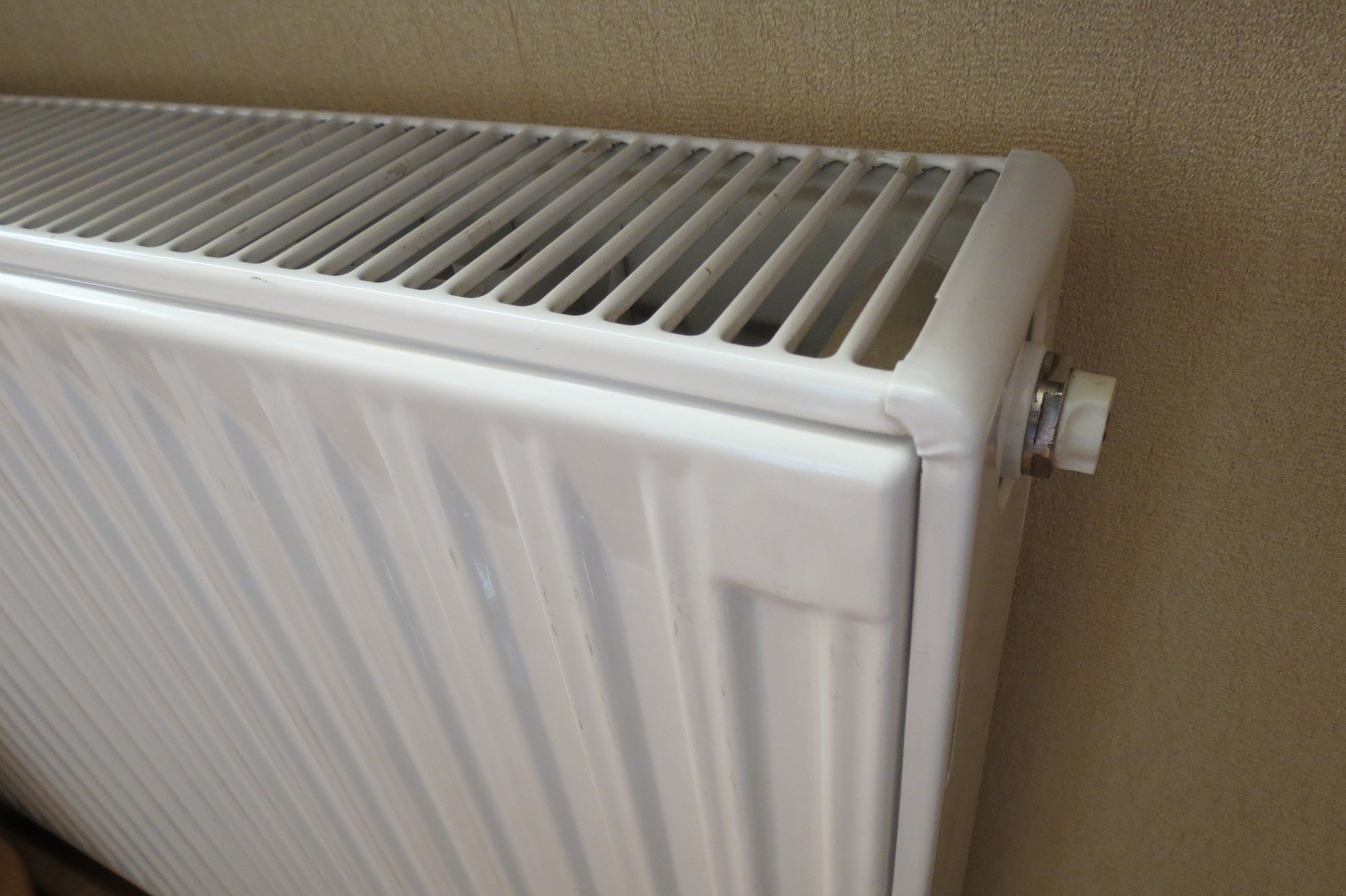 Zog foreļu ikrus un radiatorus