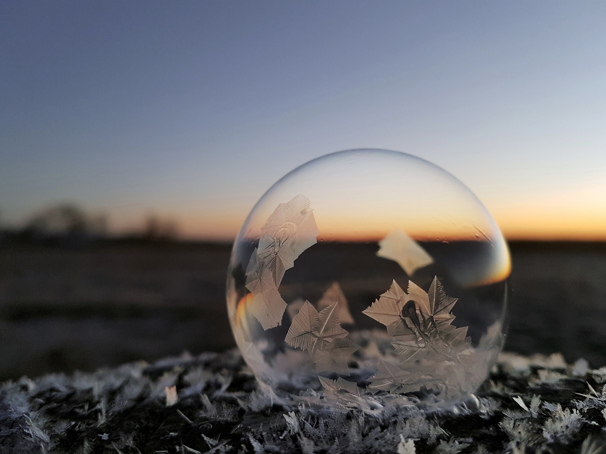 Marta fotokonkurss “Tavas acis”