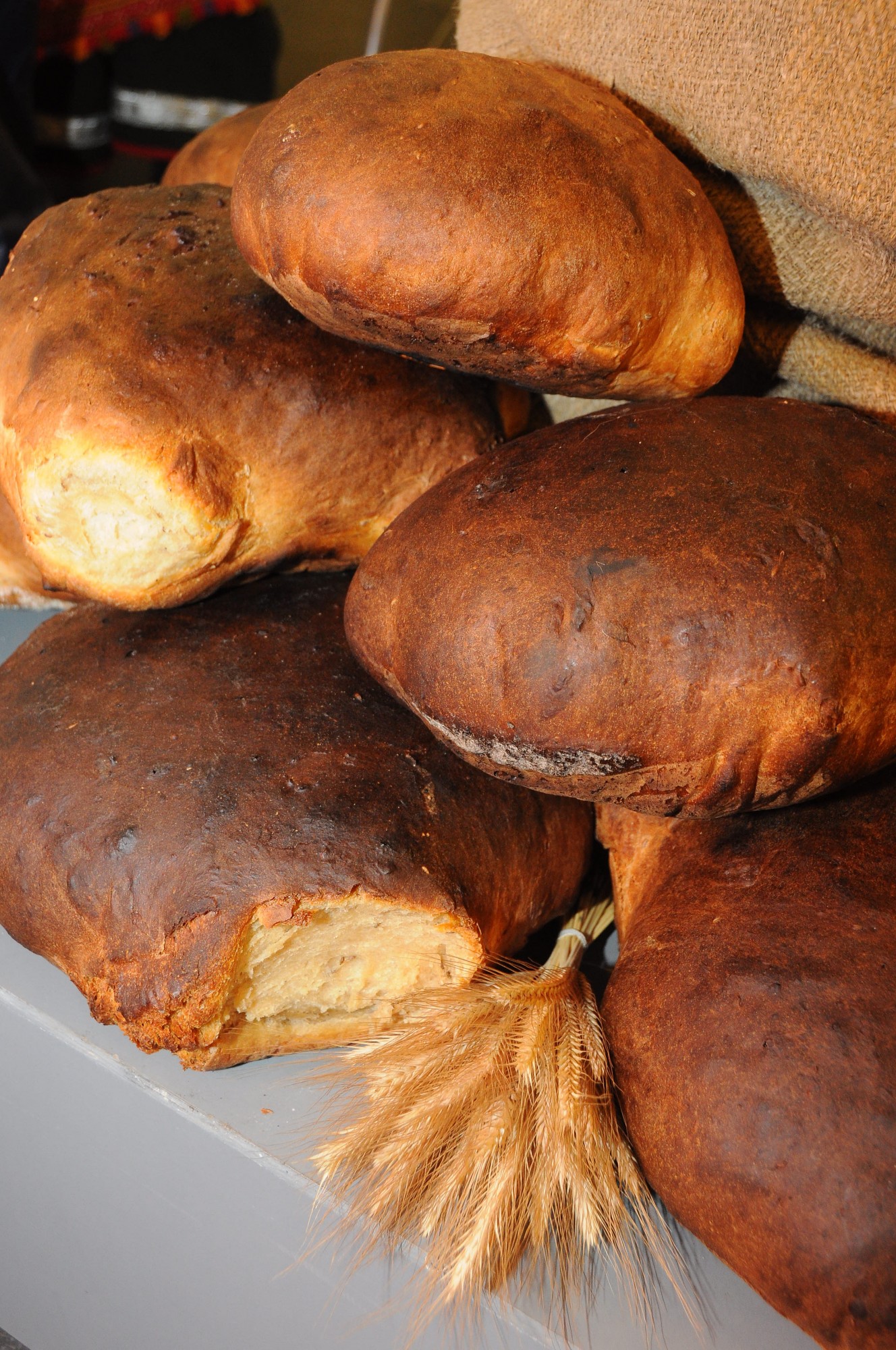 Kazdangas kukulīšus ceps aprīlī