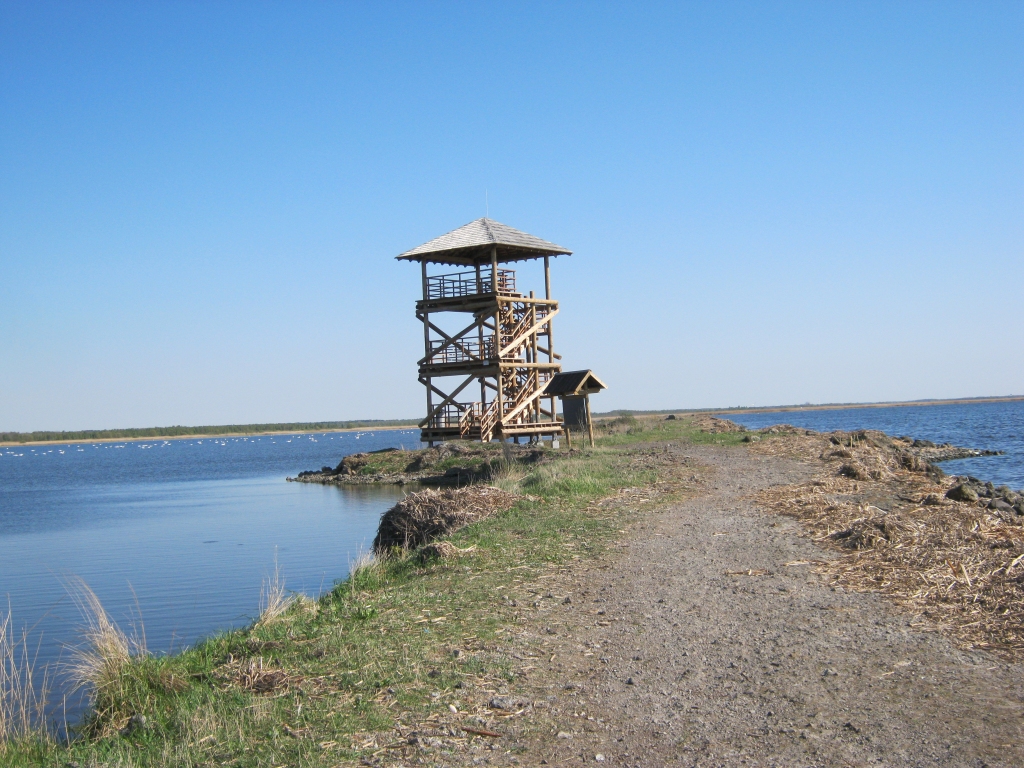 Attīstīs Zirgu salu