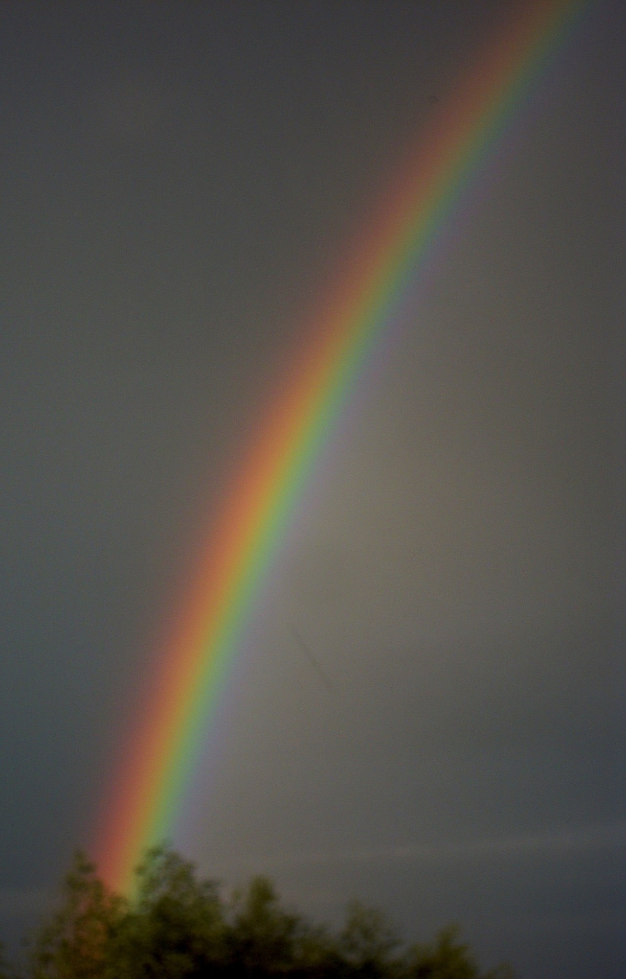 Fotokonkurss ”Aprīļa saulē”