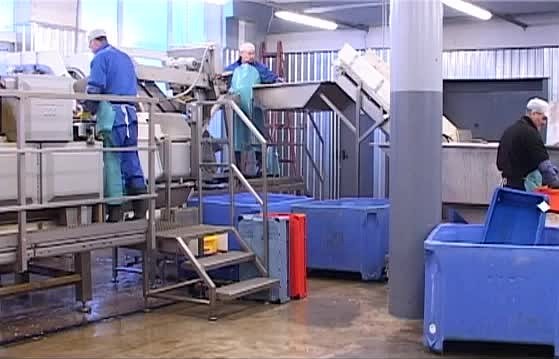 Liepājas SEZ uzņēmumi neizpratnē par nodokļu reformu
