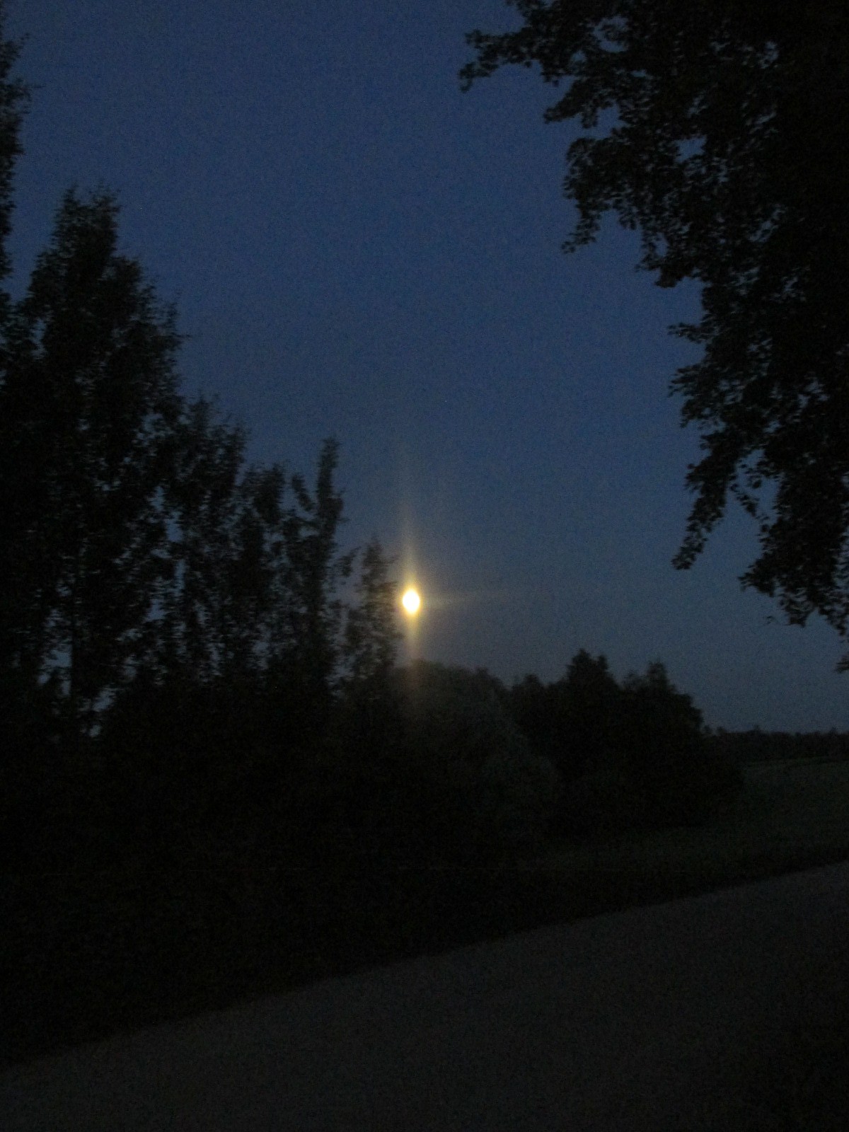 Fotokonkurss ”MMM: mīļais, maigais maijs”