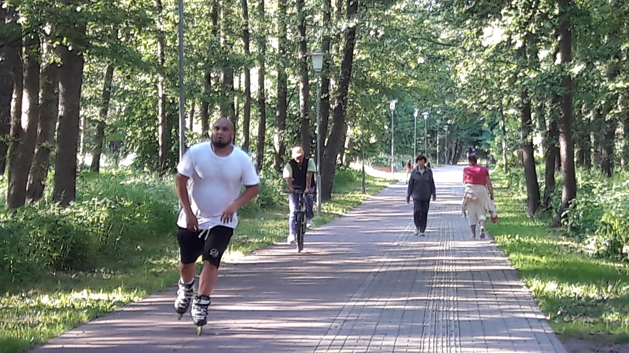 Veloceliņi taps rekonstruēto ielu posmos, pagarinājumam uz dienvidiem nav naudas