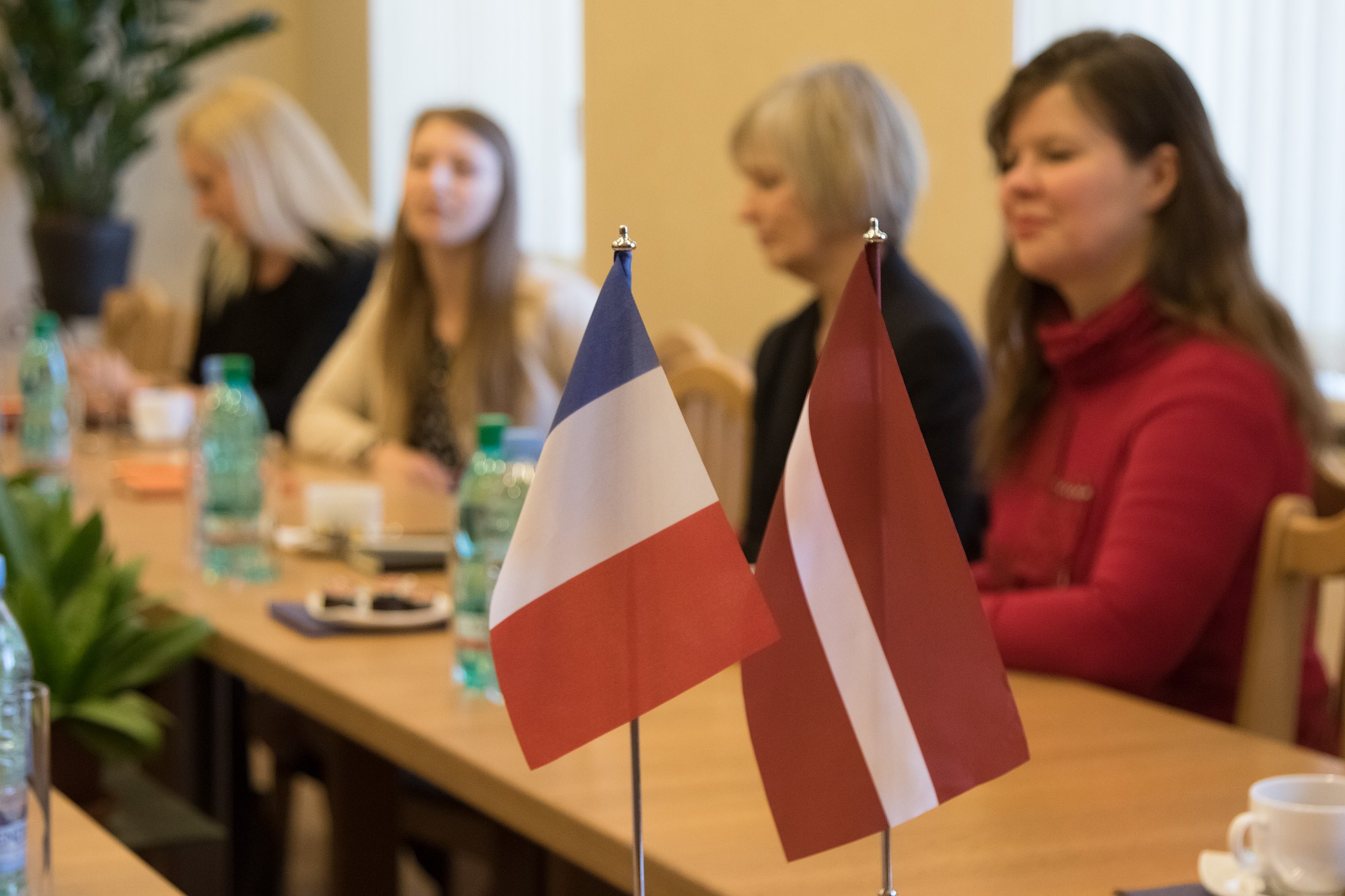 Varēs iepazīties ar Francijas kultūru un literatūru