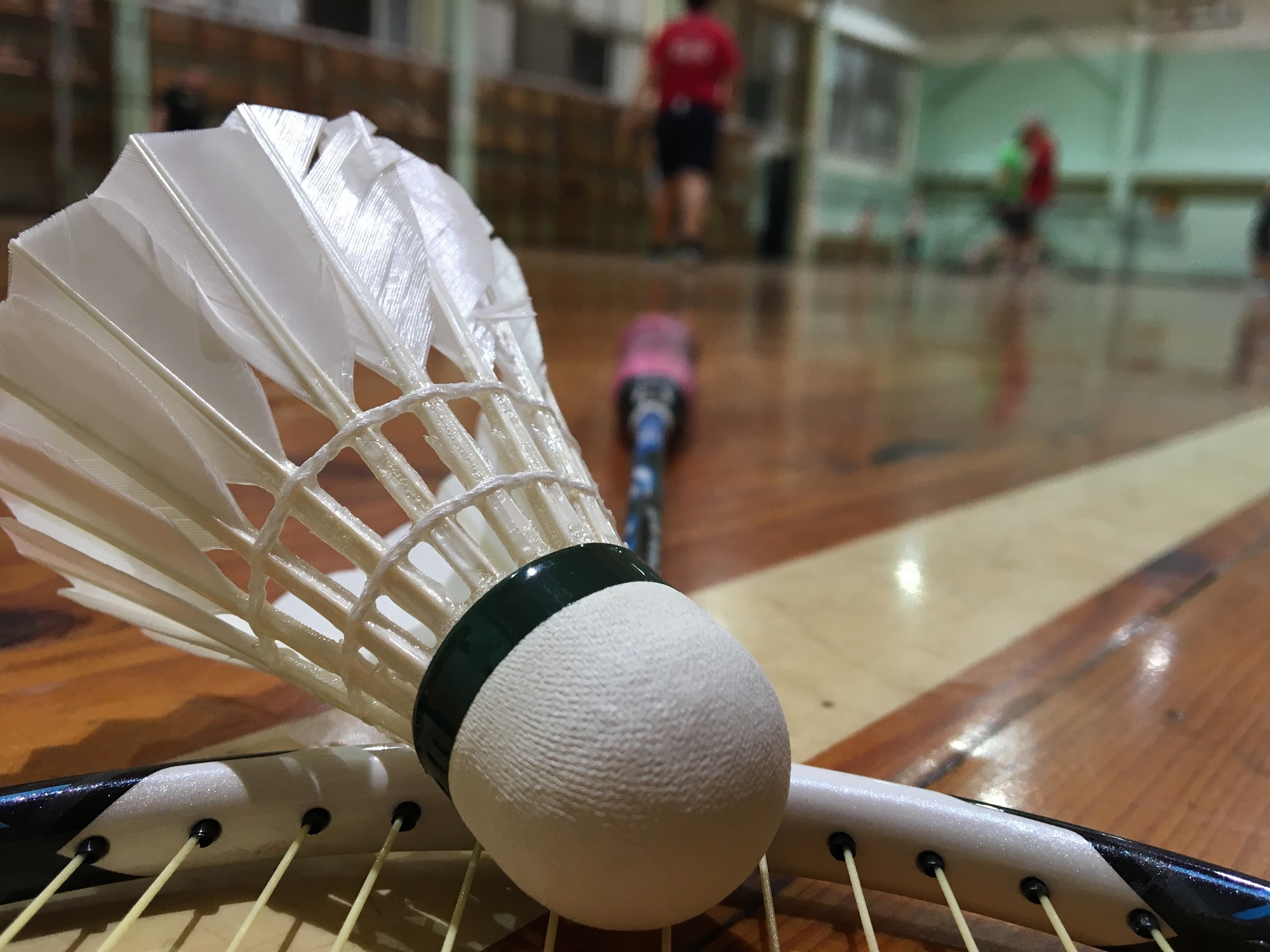 Norisināsies Liepājas atklātais čempionāts badmintonā