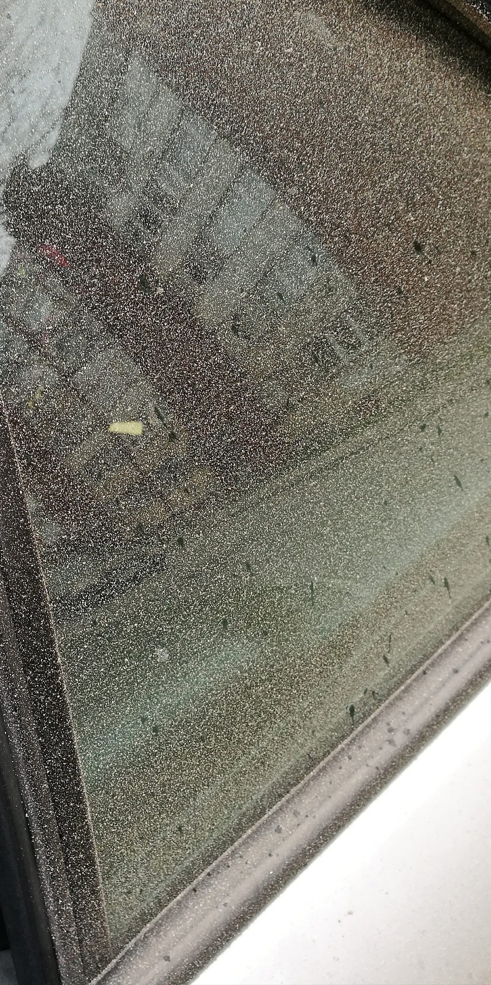 Lai pasargātu no ostas putekļiem, sola aizsargsienu