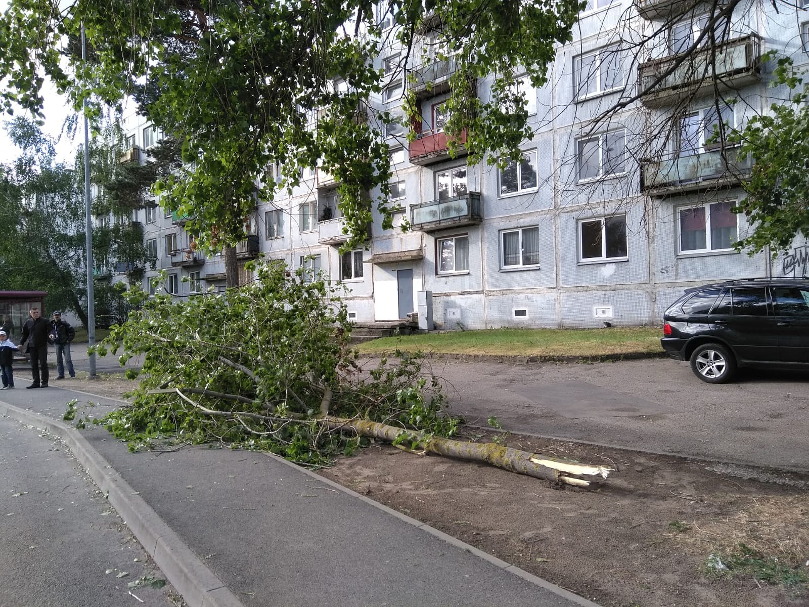Vējš lielu skādi nav nodarījis