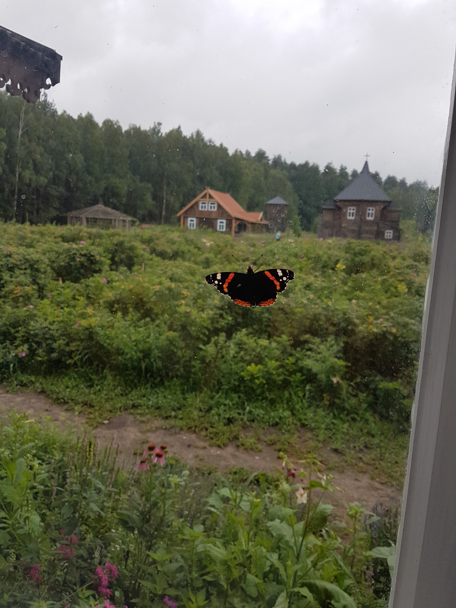 Fotokonkurss “Mazs, skaists, neparasts”