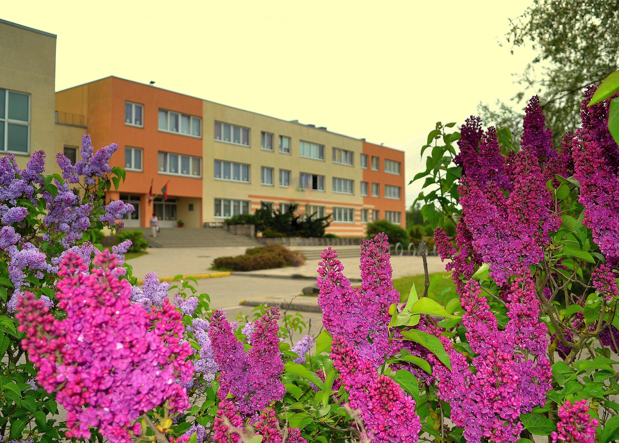 Izvēlies mācības Oskara Kalpaka Liepājas 15.vidusskolā