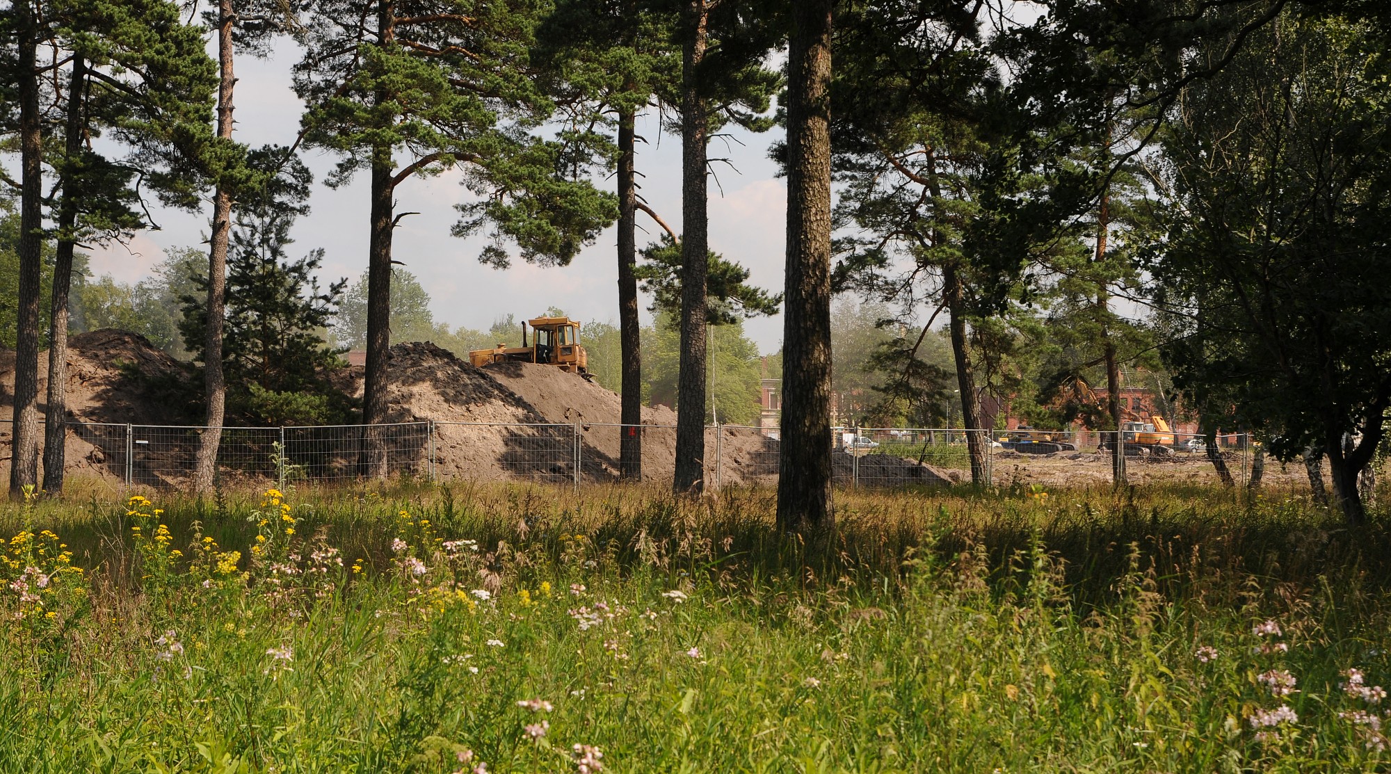 Kopsapulcē turpinās diskutēt par Karostas kokiem