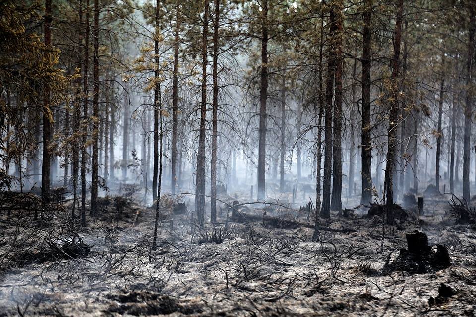 Šogad dzēsti 169 meža ugunsgrēki
