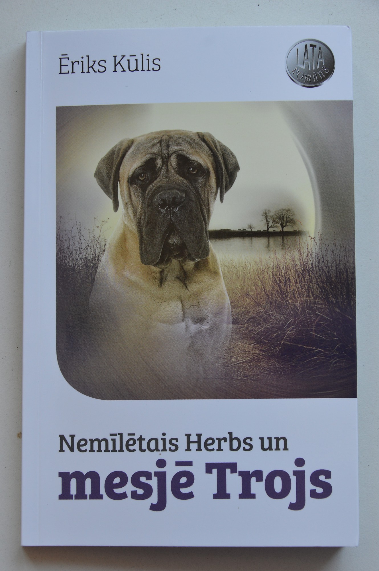 Par atbildību un uzticēšanos
