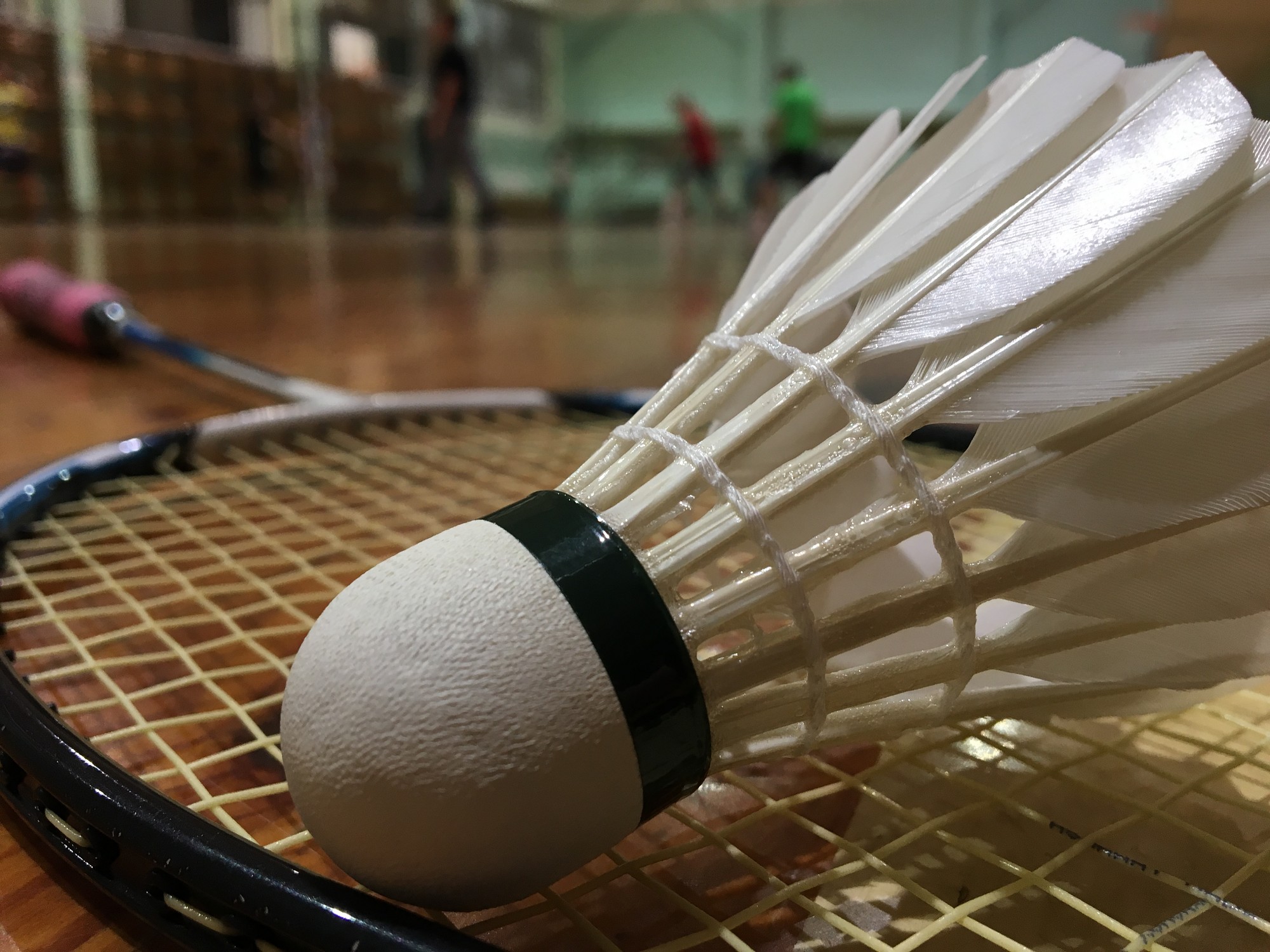 Badmintonisti neizmanto iespēju iekļūt Latvijas izlases komandā