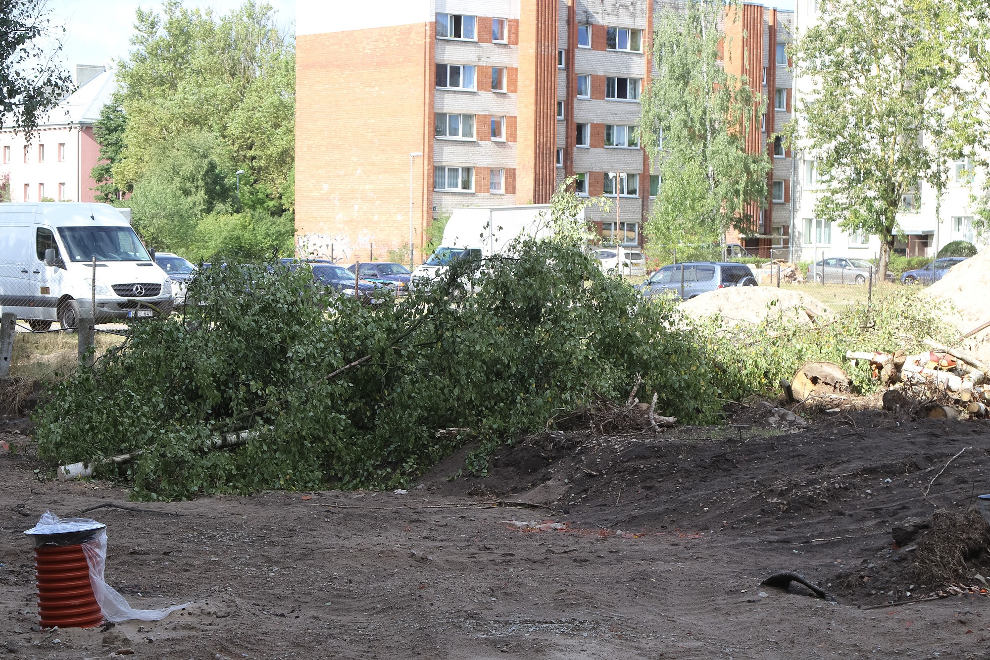 Papildināts (15:01) – Vējš lauž kokus un demolē pludmali