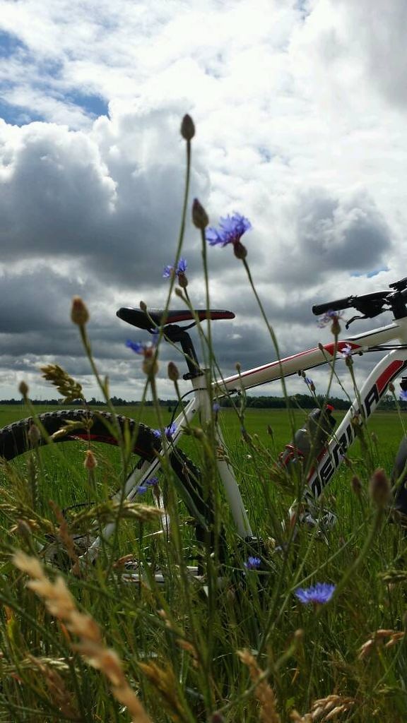 Noslēgusies “Liepājas velo vasara 2018”