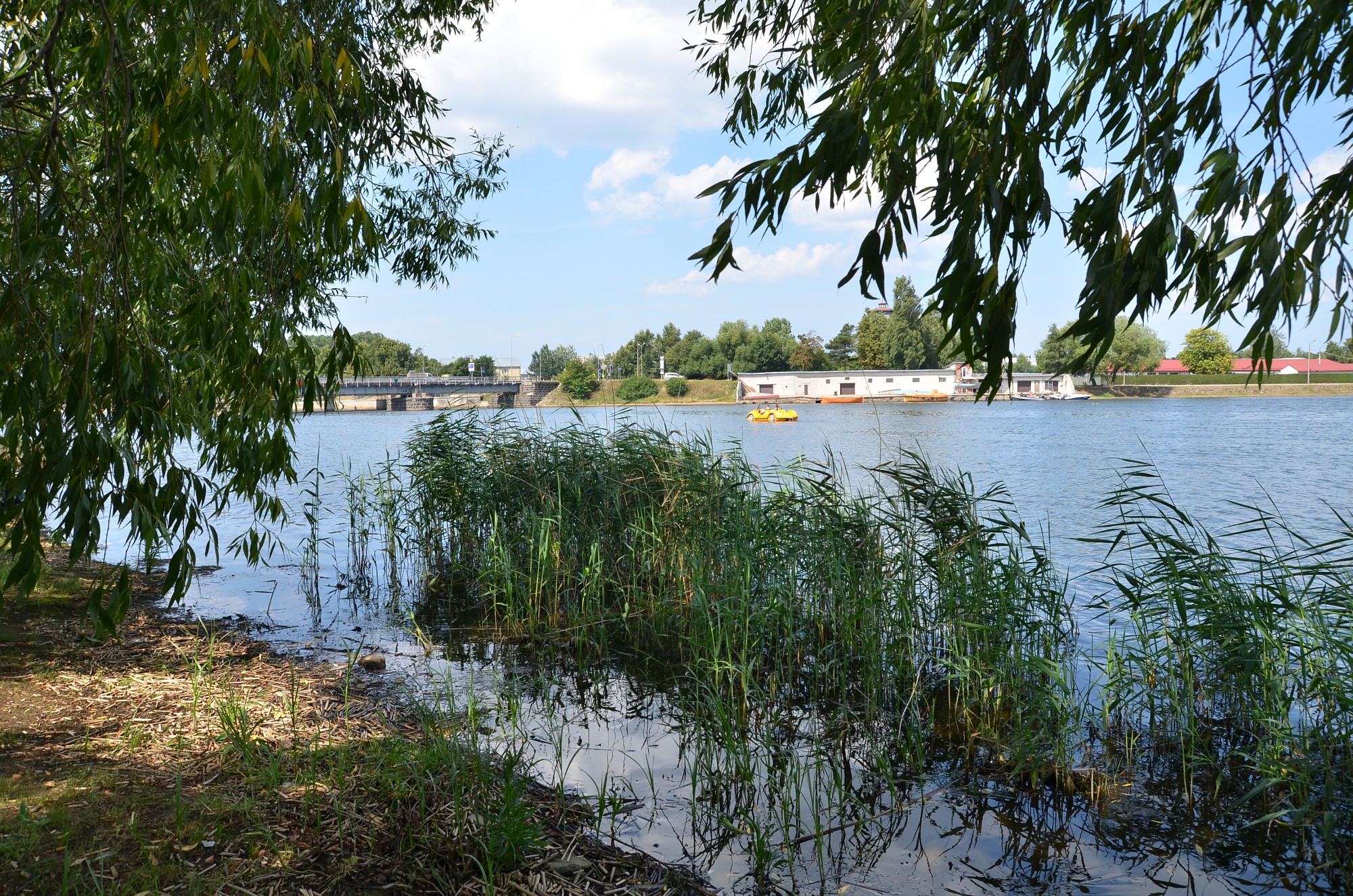 Liepājas ezerā uzsākti pļaušanas darbi