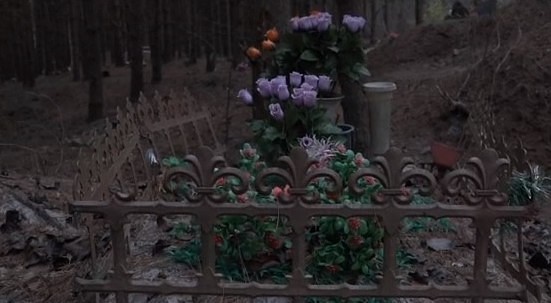 Nav skaidrības, vai dzīvnieku kapsētas pakalpojumi būs bezmaksas