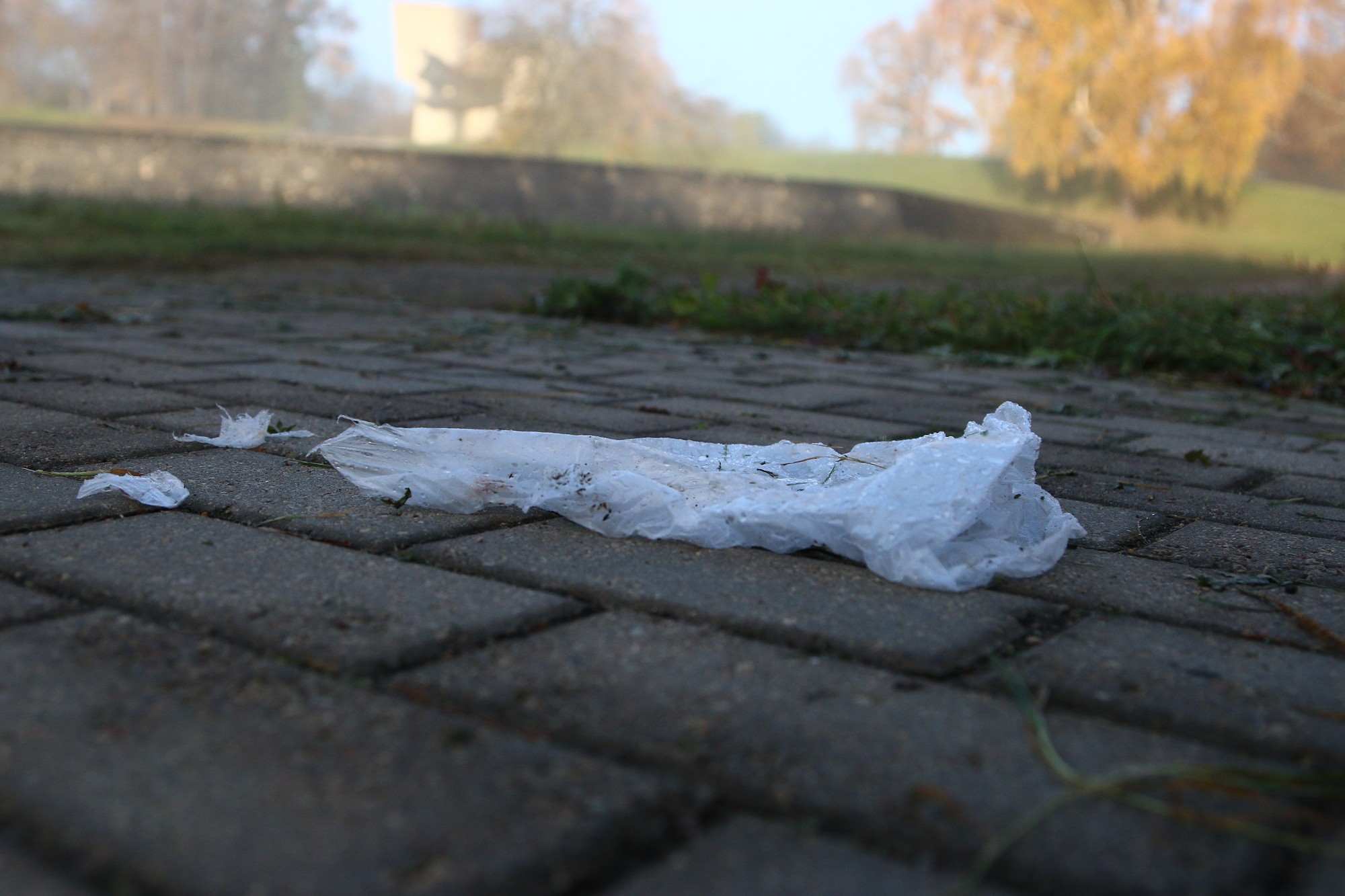 Plastmasas maisiņš – pierasts, bet nevēlams