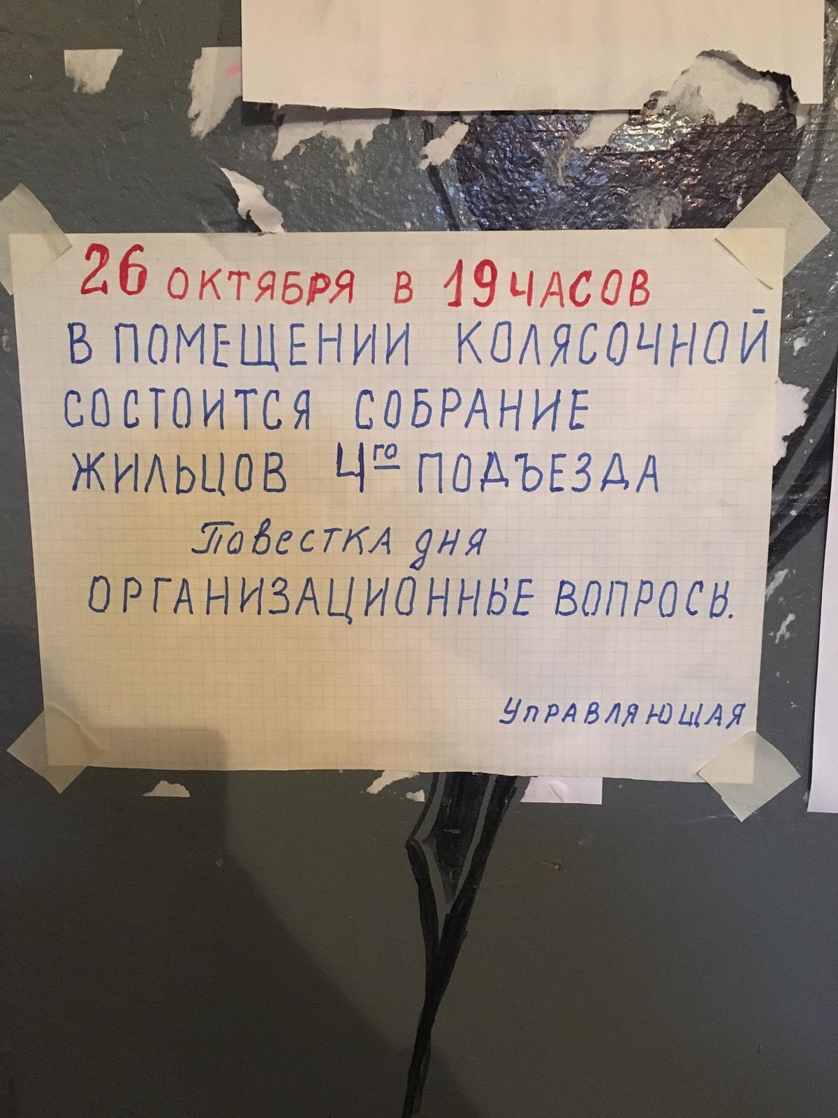 Valodas likuma pārkāpumu nekonstatē