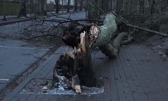 Liepājā vējš sasniedz vētras spēku