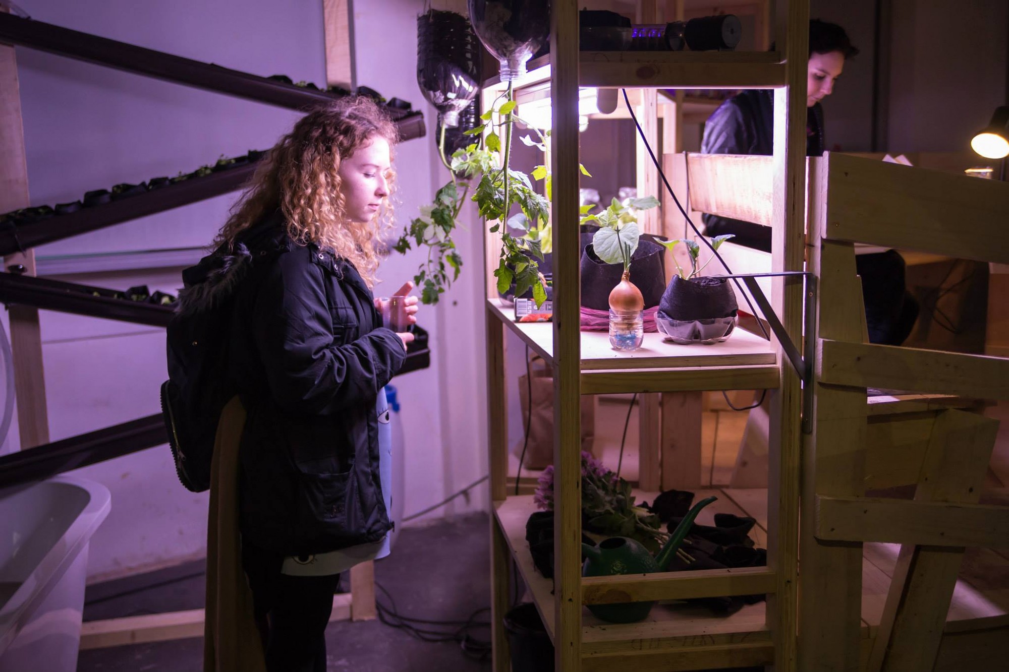 Atbalsta jauno mediju mākslas un rakstniecības projektus