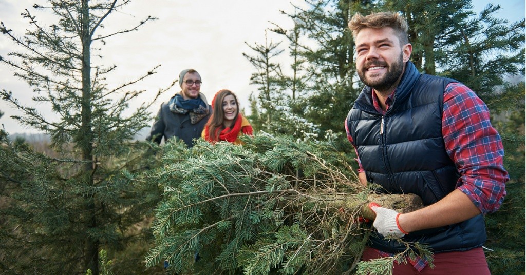 9 Profesionāli Meža nozares ekspertu padomi lai pārdotu mežu